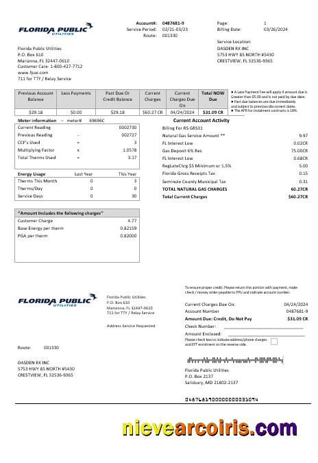 USA Florida Public Utilities business utility bill